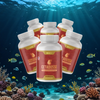 Cetadusse - 6 bottles
