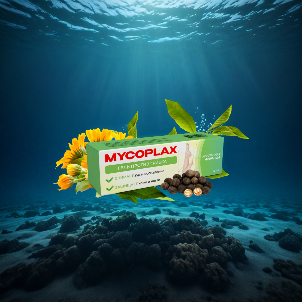 Mycoplax