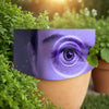 Vizu Kaps